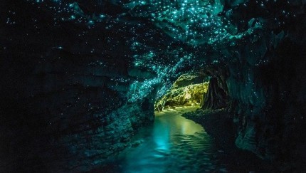 Waitomo_Glowworm_Caves_tour-e1433249145482