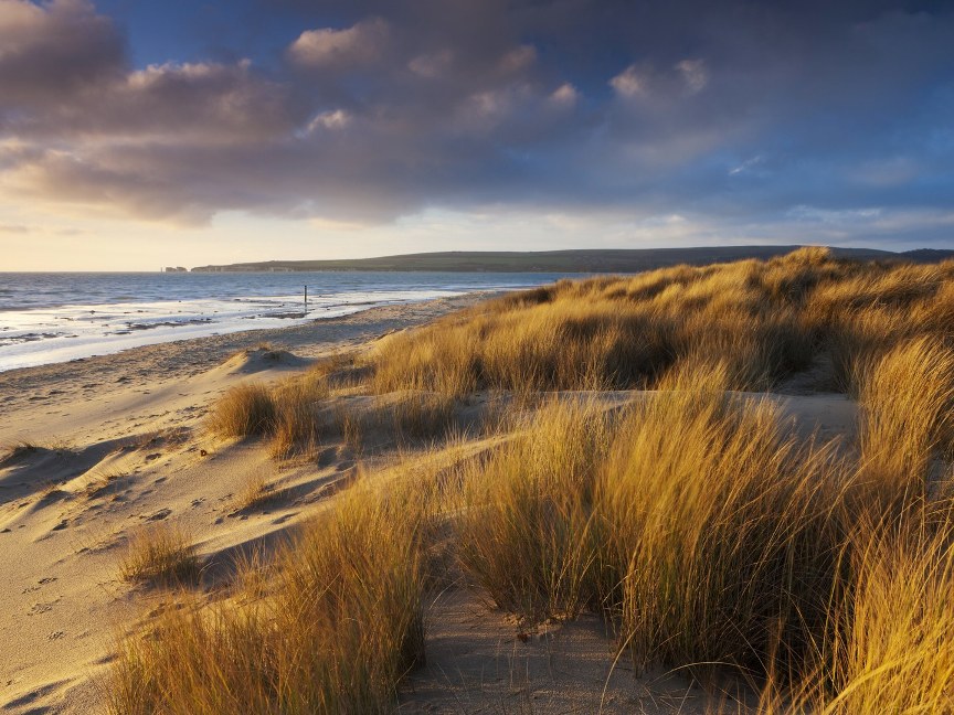 beaches-europe-Studland-Bay-england-GettyImages-153352086